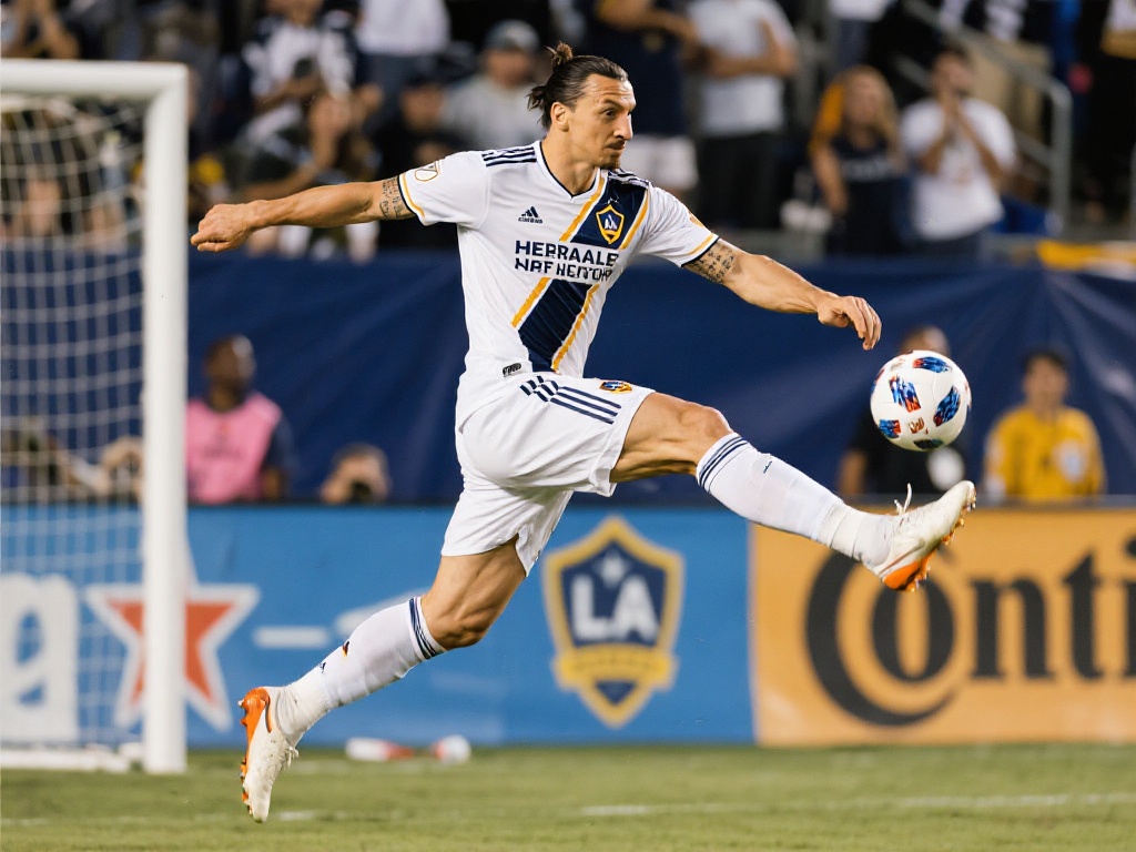 足坛的新星 足坛的新星